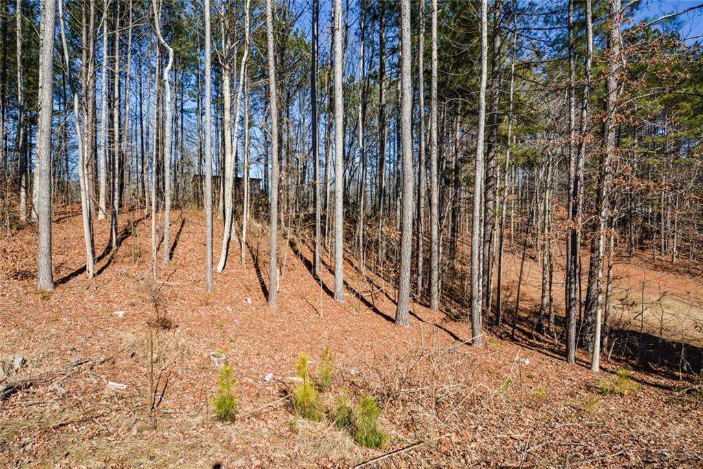 202 Greentree Trail, Temple, Georgia image 44