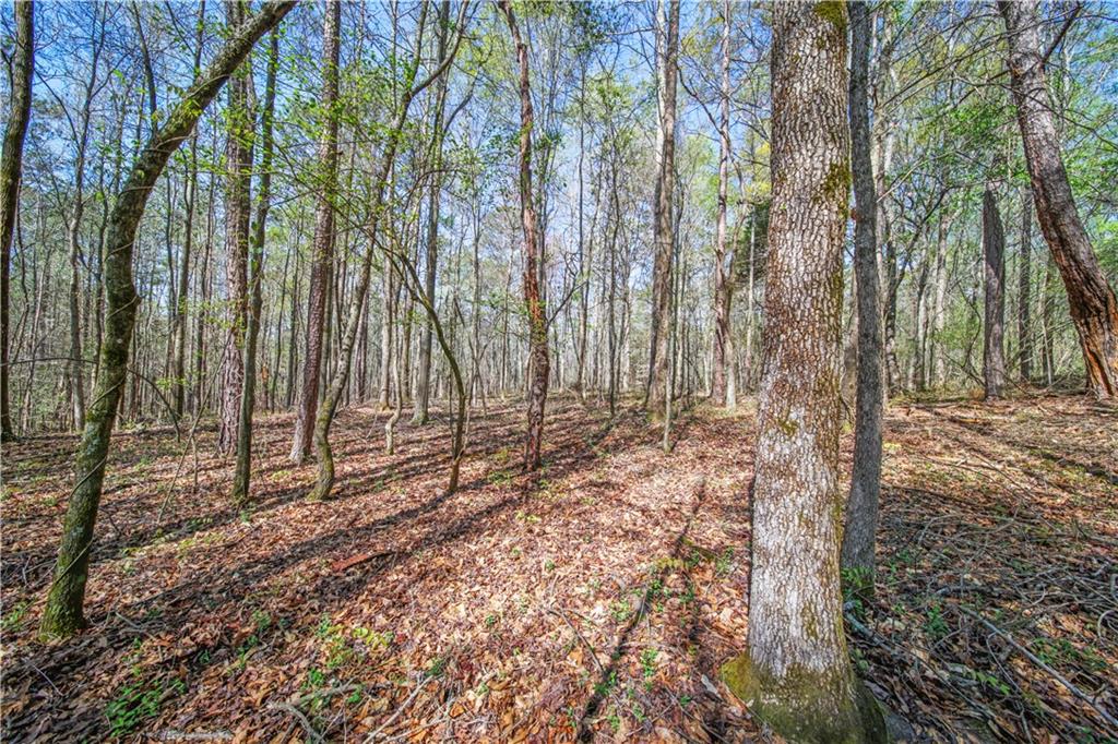 Lot 6 Kinney Creek Lane, Pendergrass, Georgia image 7