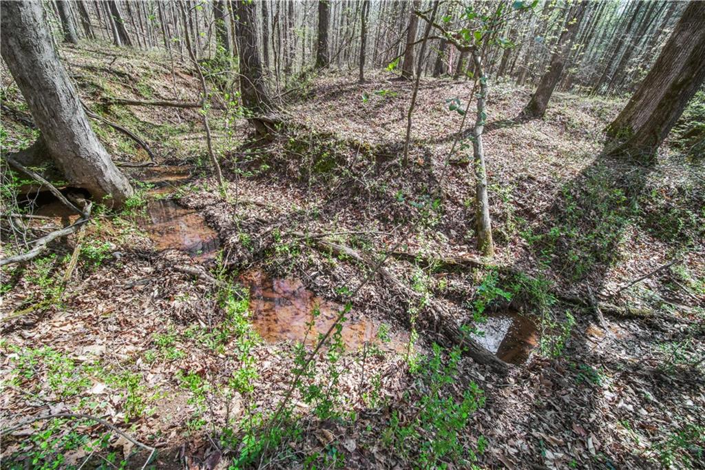 Lot 6 Kinney Creek Lane, Pendergrass, Georgia image 12