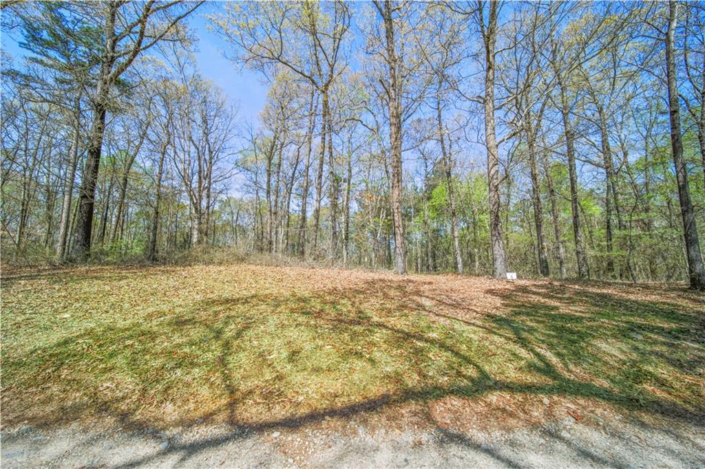 Lot 6 Kinney Creek Lane, Pendergrass, Georgia image 14