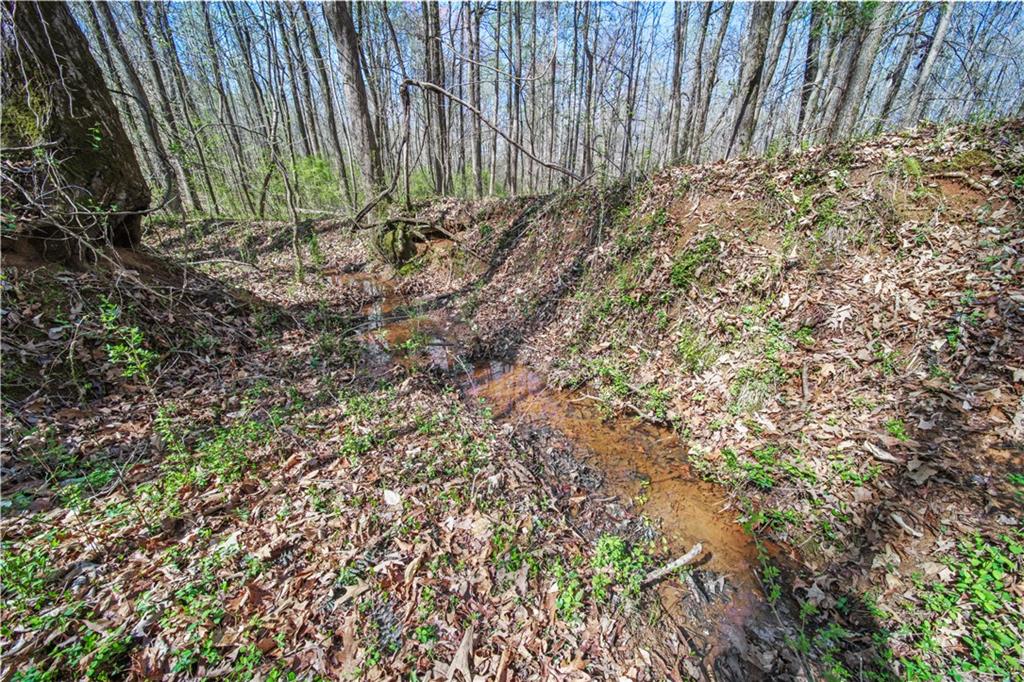 Lot 6 Kinney Creek Lane, Pendergrass, Georgia image 6