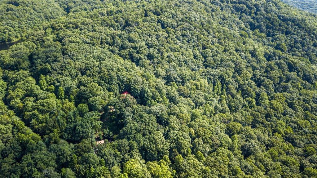 Mount Sequoyah - Residential