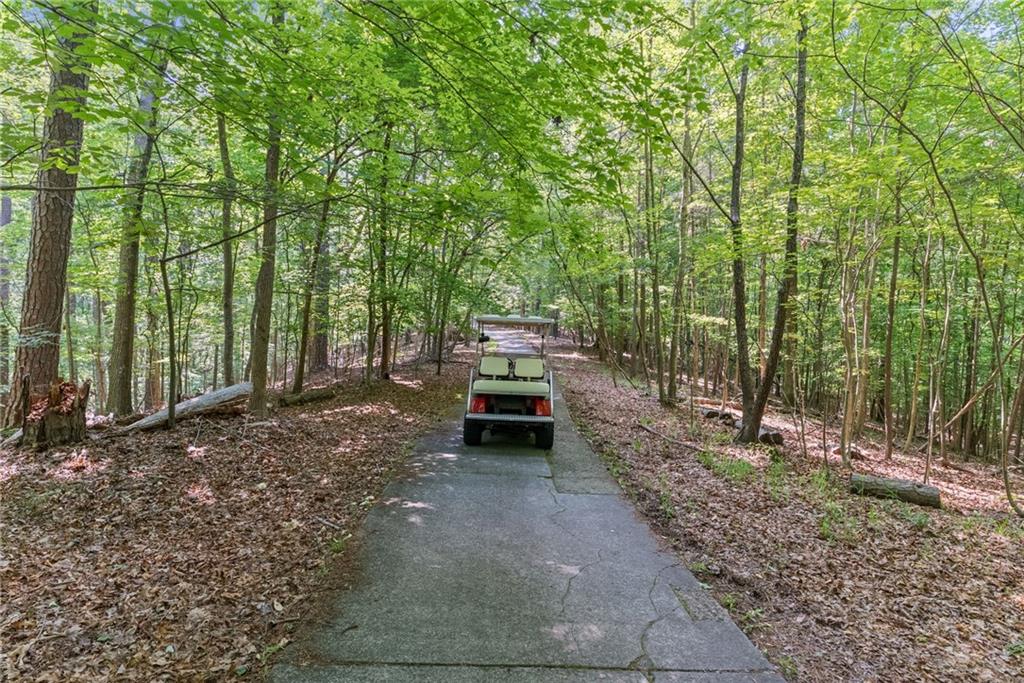 619 Lovinggood Trail