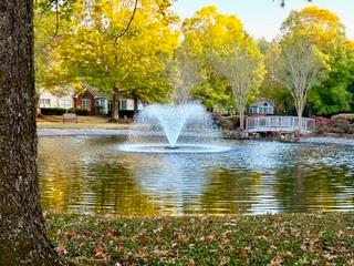 The Vineyards - Residential