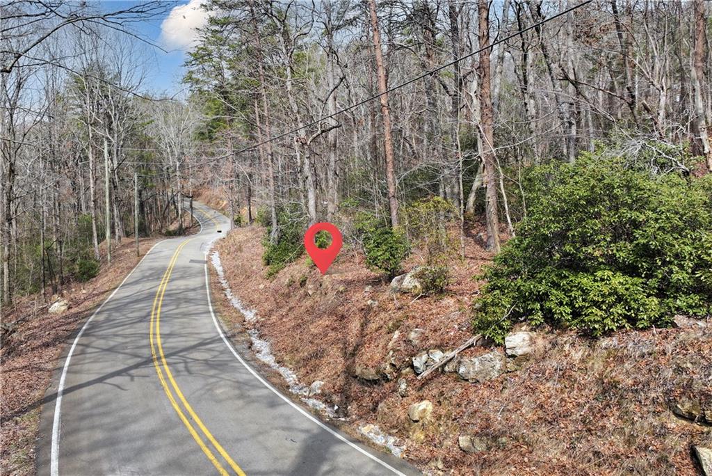 Henderson Mountain Road, Jasper, Georgia image 4