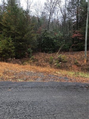 0 FLAGPOLE ROAD, ELLIJAY, GA 30540 - Image 5d3e77942e013bf76a36cd6d8b65950b/797034552