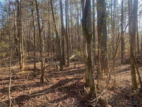 Vacant Land For Sale - Corinth Five Points Rd<br/> Haralson County, Buchanan, GA 30113