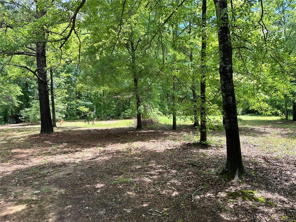 234 Vaughn Circle, Griffin, Georgia image 3