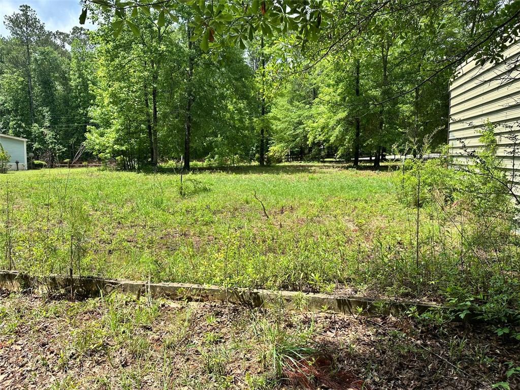 234 Vaughn Circle, Griffin, Georgia image 8