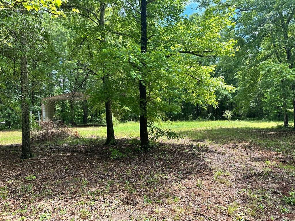 234 Vaughn Circle, Griffin, Georgia image 4