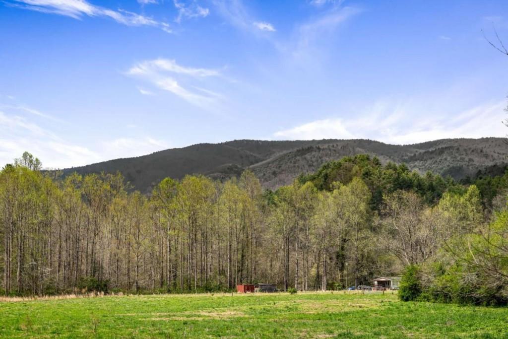 4545 Gates Chapel Road, Ellijay, Georgia image 5