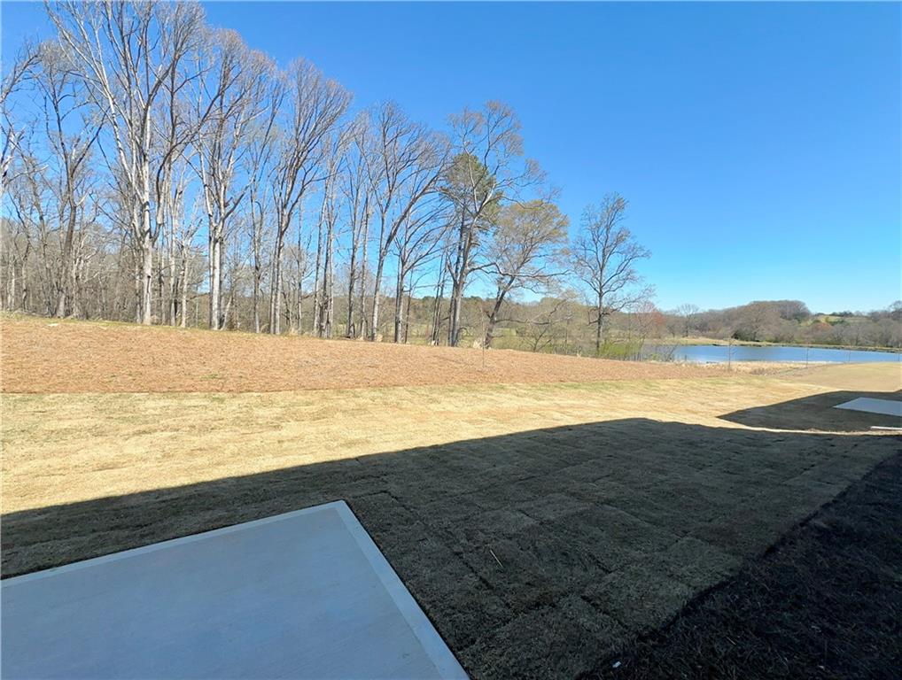 445 Fox Creek Drive, Braselton, Georgia image 18