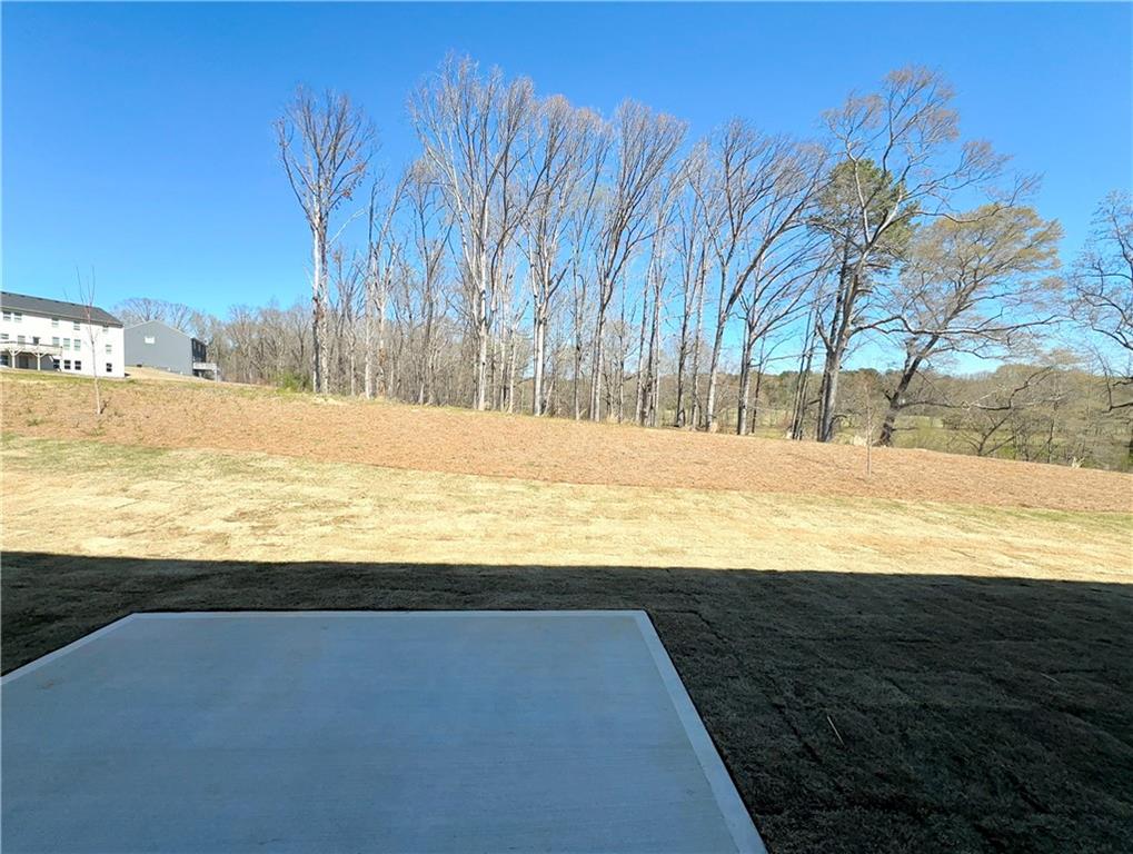 445 Fox Creek Drive, Braselton, Georgia image 17