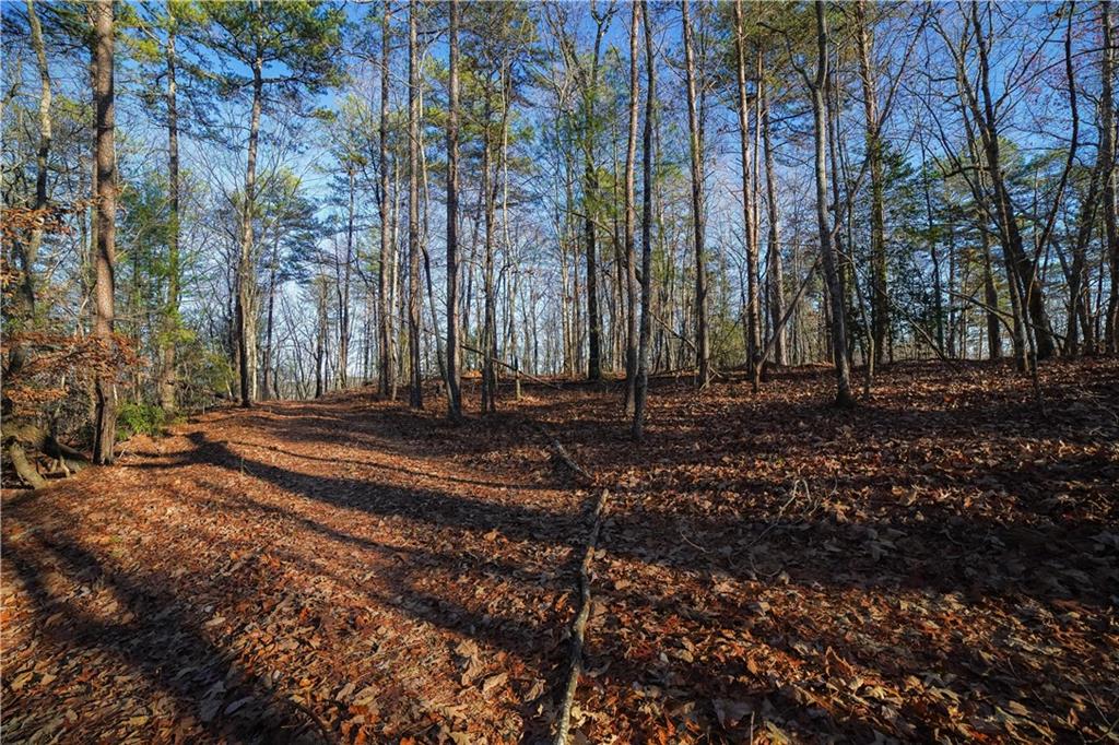 13.4-/+ acres Unrestricted - Land