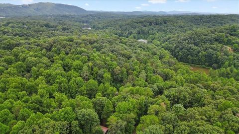 A home in Ellijay