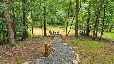 A home in Ellijay