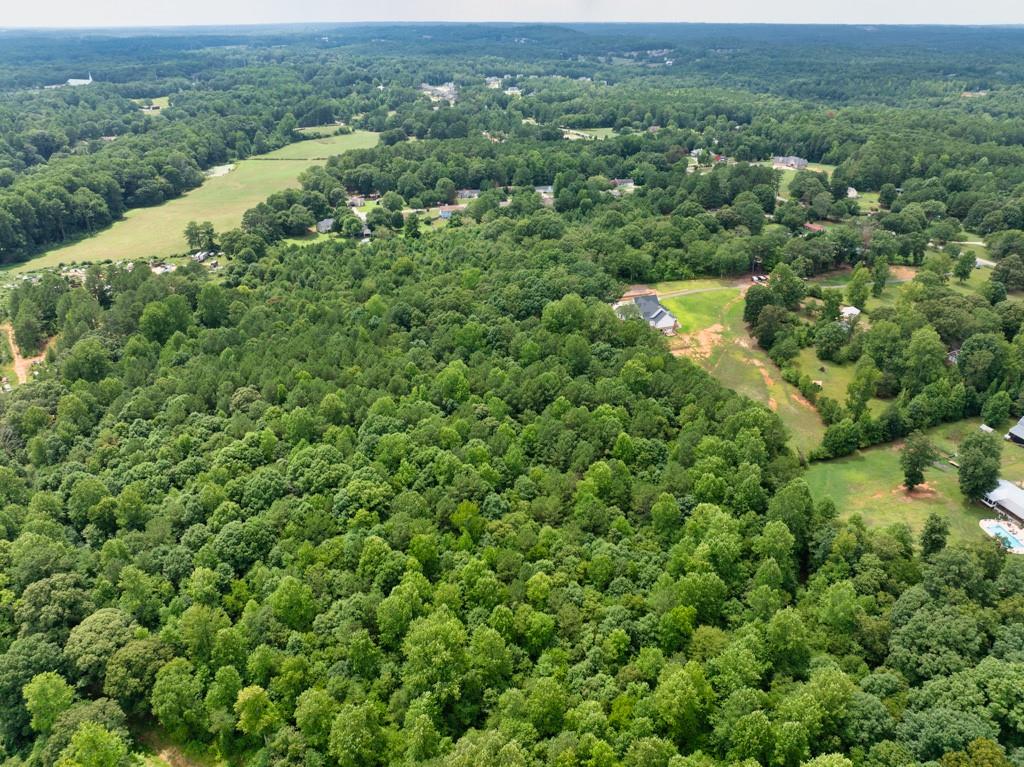 Cronic Town, Auburn, Georgia image 4