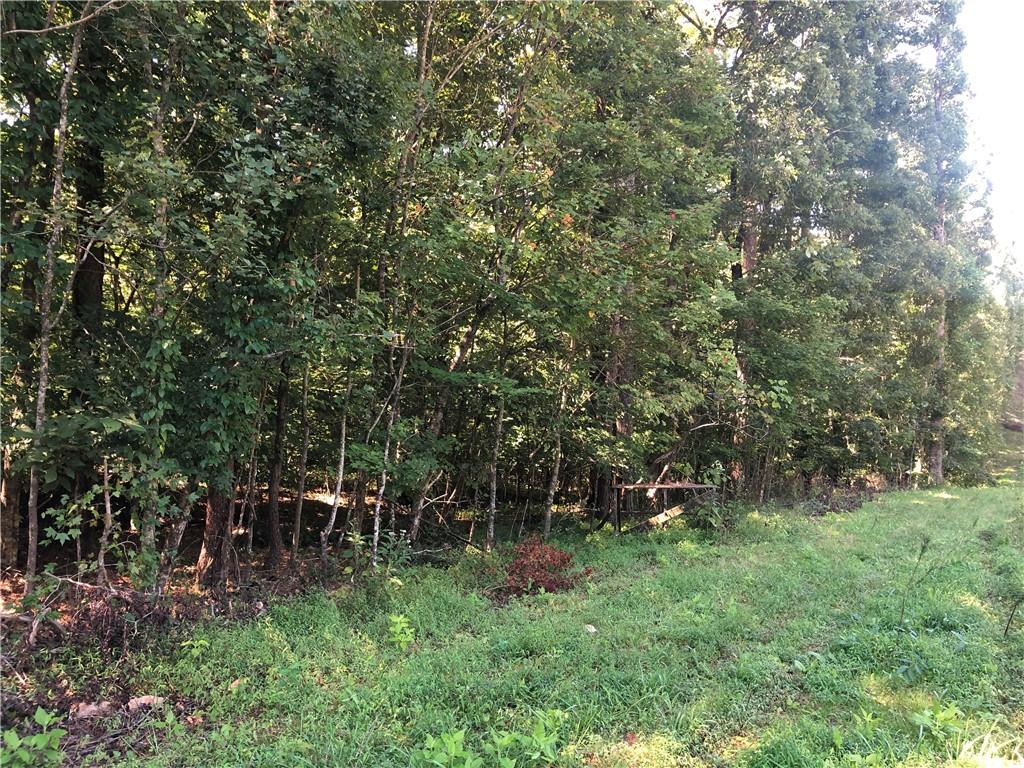 Location, location, location...This property fronts Reavis Mountain Road and Cherokee Gold Trail. Beautiful 13.63 acres in one of the most highly sought-after areas in Northern Cherokee County. This property offers total privacy, and lays very well being mostly level with some rolling as well. There is lots of road frontage on both Reavis Road and Cherokee Gold Trail with so many potential building sites. Bring your builder and build that dream home or build your family compound. Just minutes from downtown Ball Ground and all this quaint little town has to offer. This won't last long!