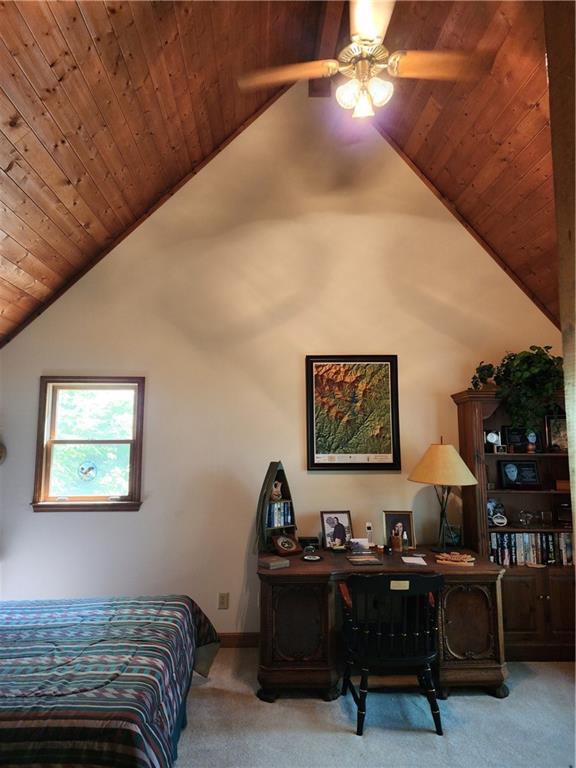 1115 Wild Turkey Bluff, Jasper, Georgia image 41
