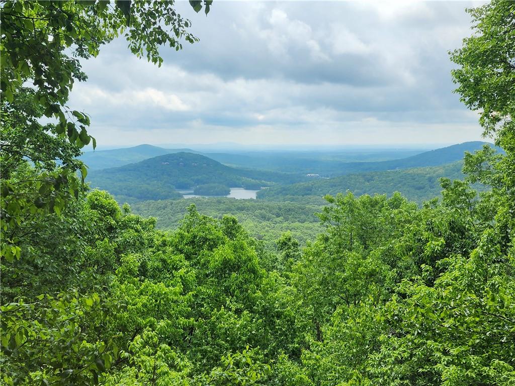 1115 Wild Turkey Bluff, Jasper, Georgia image 50