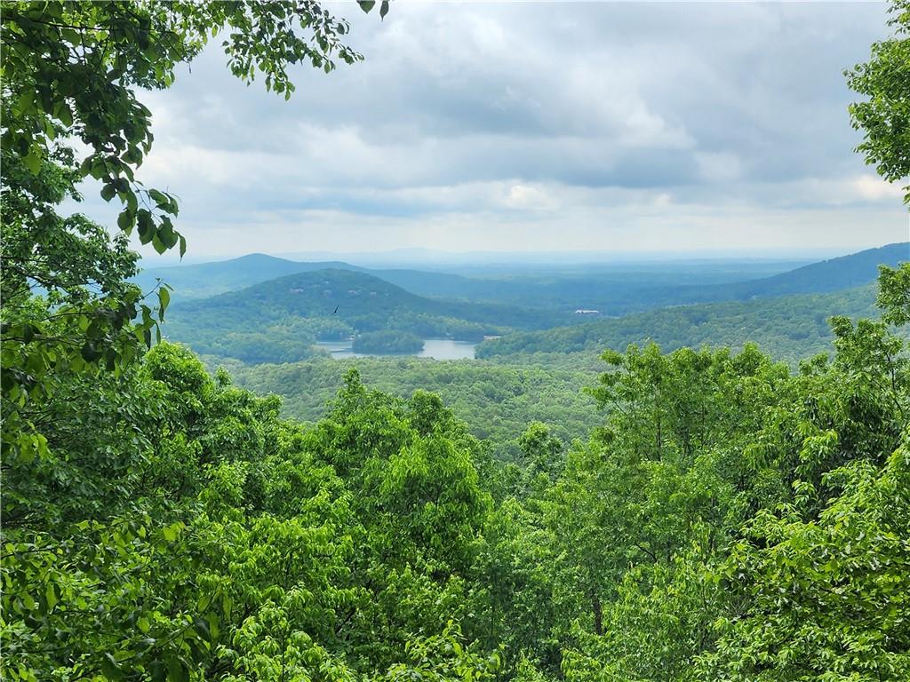 1115 Wild Turkey Bluff, Jasper, Georgia image 18