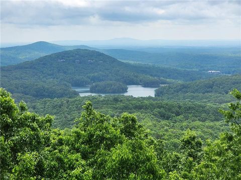 1115 Wild Turkey Bluff Jasper GA 30143