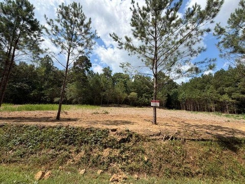 Vacant Land For Sale - 84 Popham Road Tract 1 & 2 Rd<br/> Bartow County, Taylorsville, GA 30178