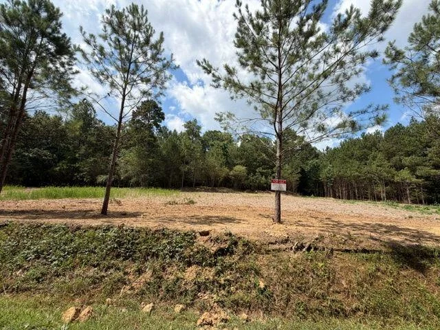 84 Popham Road Tract 1 & 2 Rd, Taylorsville, GA, 30178