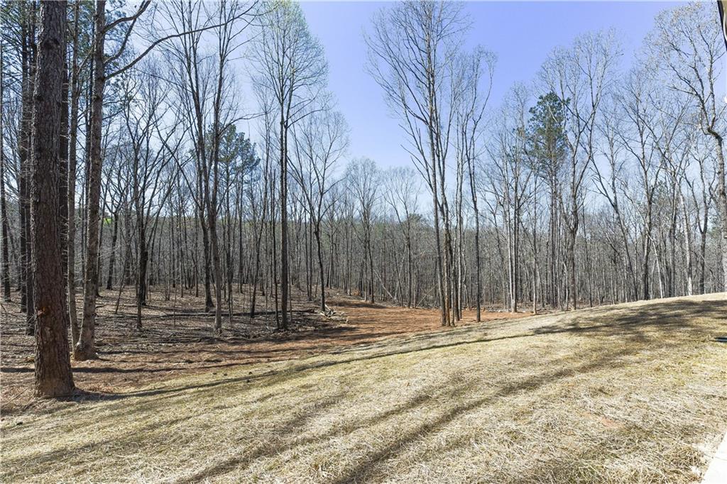 5567 Tyree Road, Winston, Georgia image 29