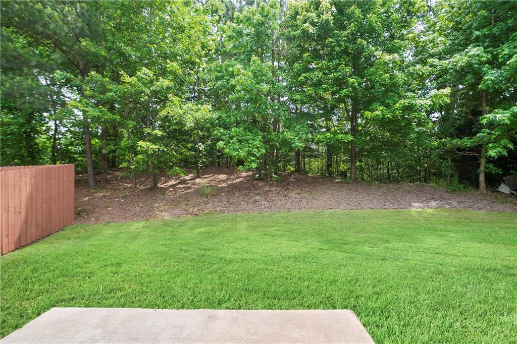 4630 Roseman Trail, Cumming, Georgia image 19