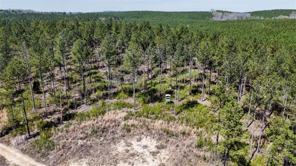 403 AC Youngs Farm Road