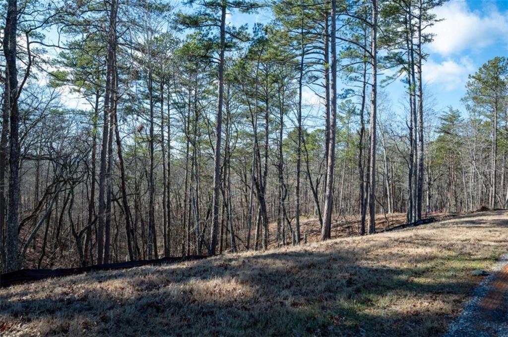 LT 318 Pebble Trace, Talking Rock, Georgia image 18