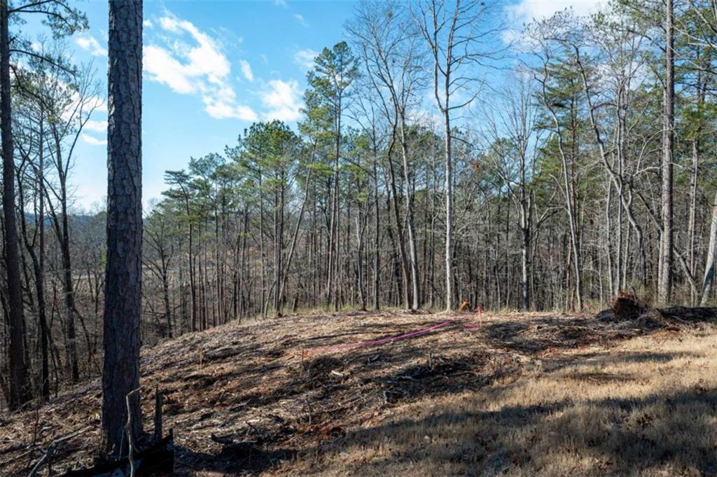 LT 318 Pebble Trace, Talking Rock, Georgia image 19