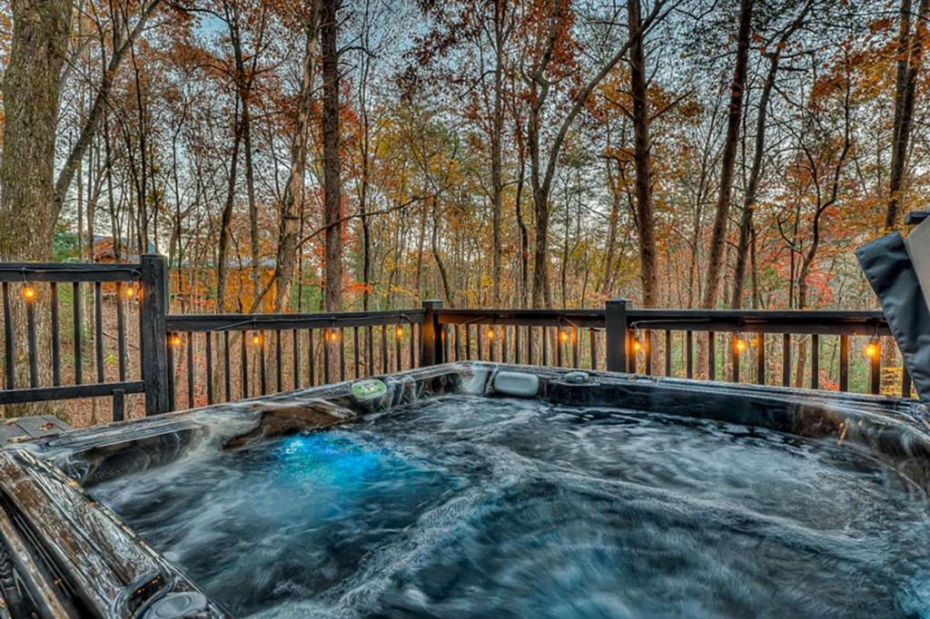 226 Lakeside Drive, Blue Ridge, Georgia image 3