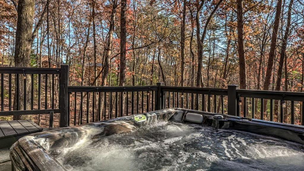 226 Lakeside Drive, Blue Ridge, Georgia image 24