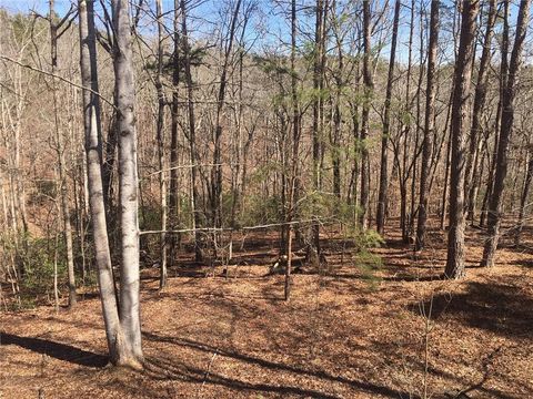 Vacant Land For Sale - LOT 10 Olivia Lane<br/> Ball Ground, GA 30107