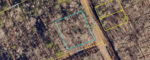 Vacant Land For Sale - 228 Biscayne Drive<br/> Stephens County, Martin, GA 30557