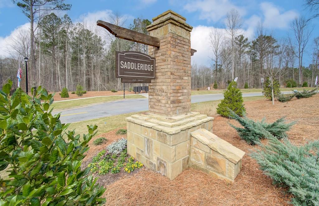 57 Homesite Saddleridge Trail, Senoia, Georgia image 42