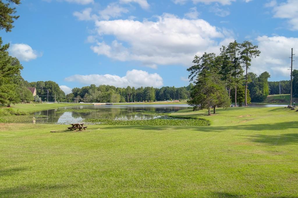 57 Homesite Saddleridge Trail, Senoia, Georgia image 36