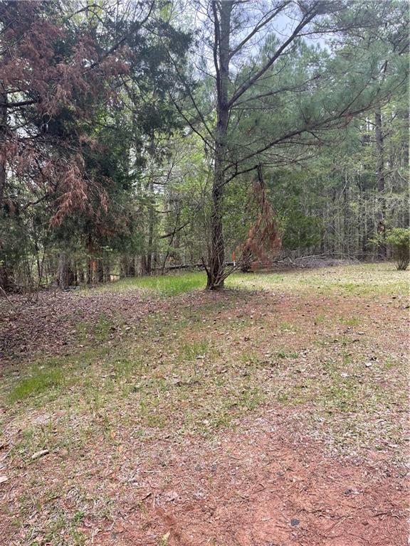 472 W Howard Road, Talbotton, Georgia image 6