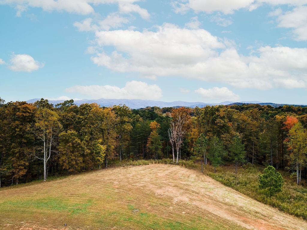 High River Road, Ellijay, Georgia image 15
