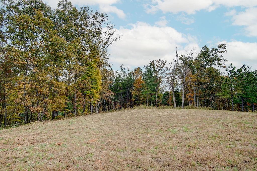 High River Road, Ellijay, Georgia image 8