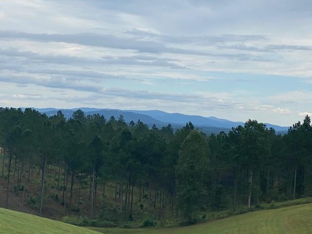 High River Road, Ellijay, Georgia image 4