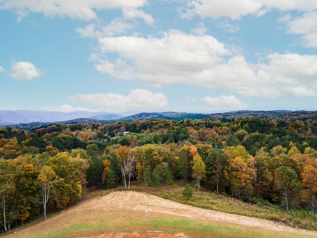 High River Road, Ellijay, Georgia image 14