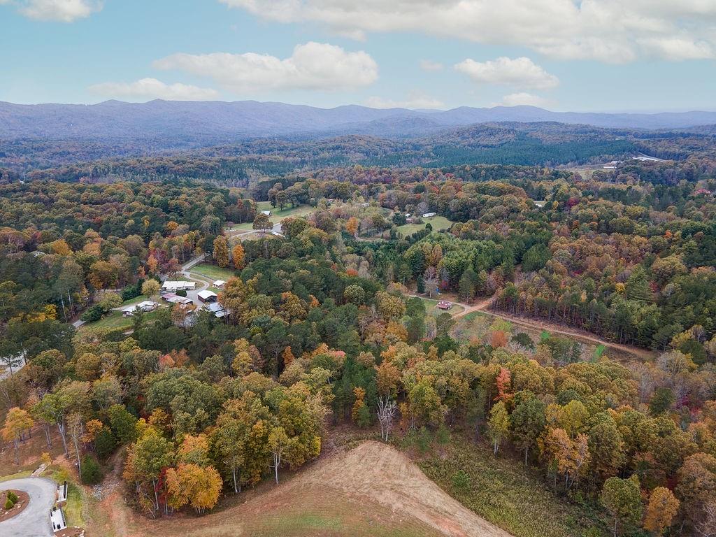 High River Road, Ellijay, Georgia image 12