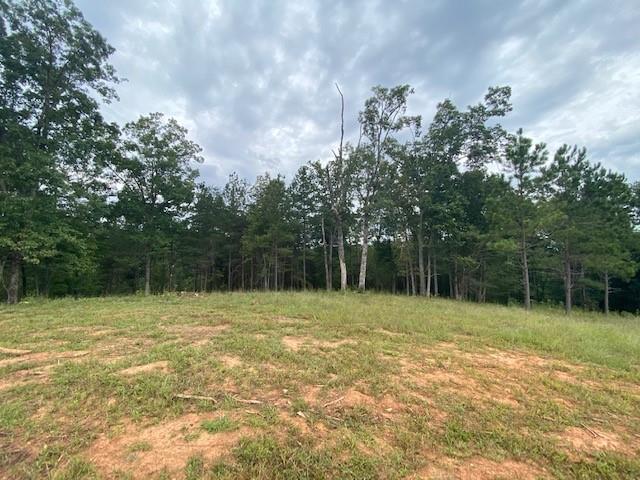 High River Road, Ellijay, Georgia image 7