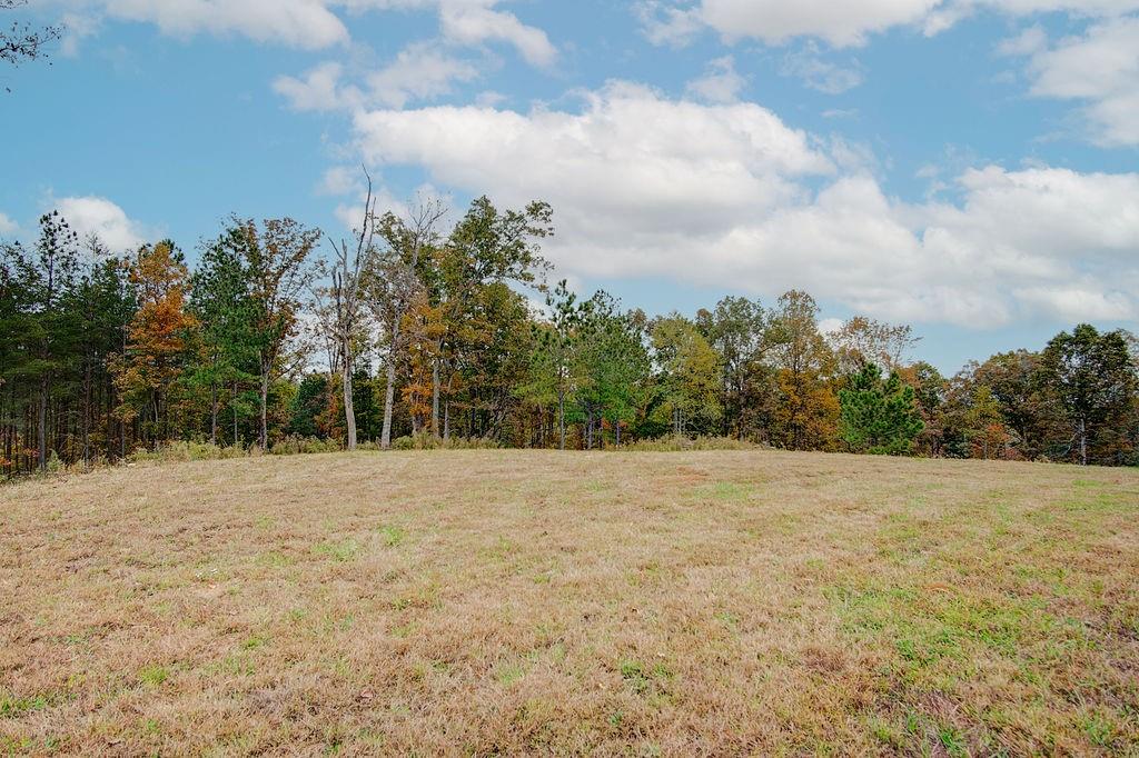 High River Road, Ellijay, Georgia image 20