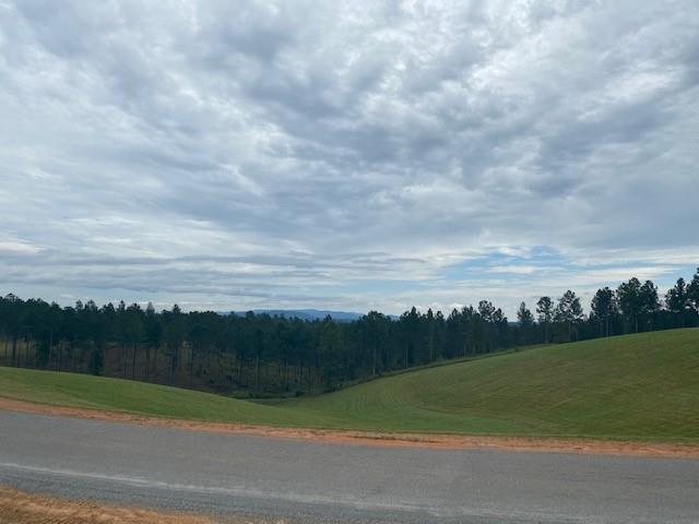 High River Road, Ellijay, Georgia image 3
