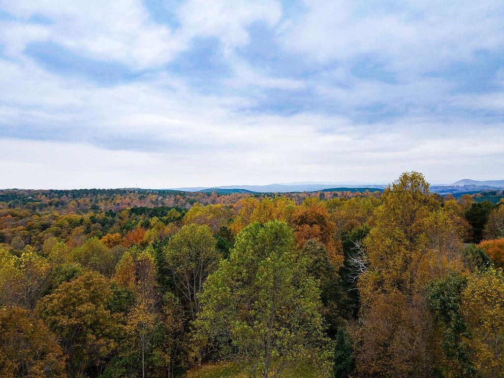 High River Road, Ellijay, Georgia image 17