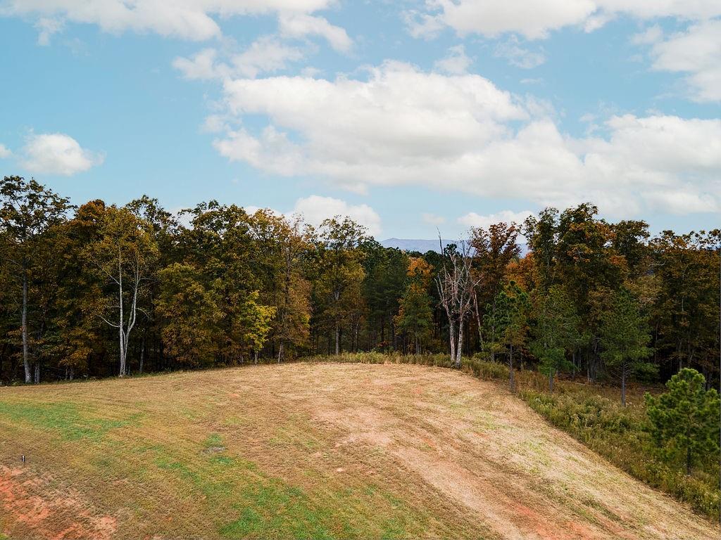 High River Road, Ellijay, Georgia image 9
